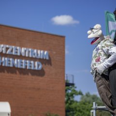 Stadfest 50 Jahre Schenefeld